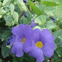 Picasa 2.7